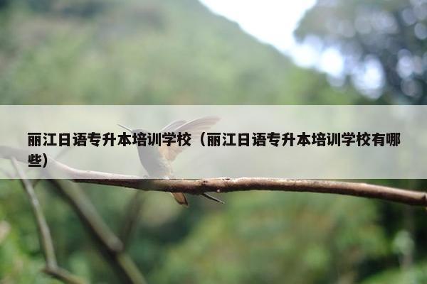 丽江日语专升本培训学校（丽江日语专升本培训学校有哪些）