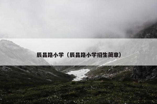 辰昌路小学（辰昌路小学招生简章）