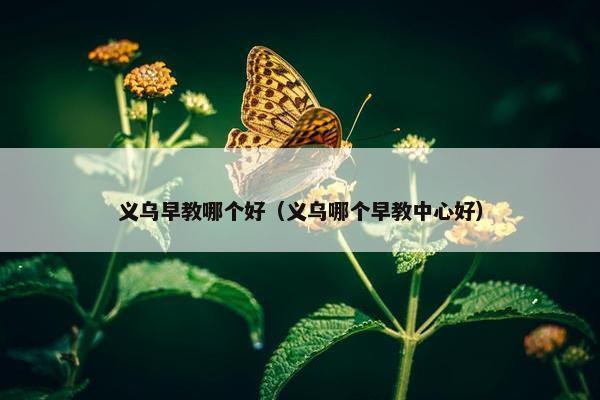 义乌早教哪个好（义乌哪个早教中心好）