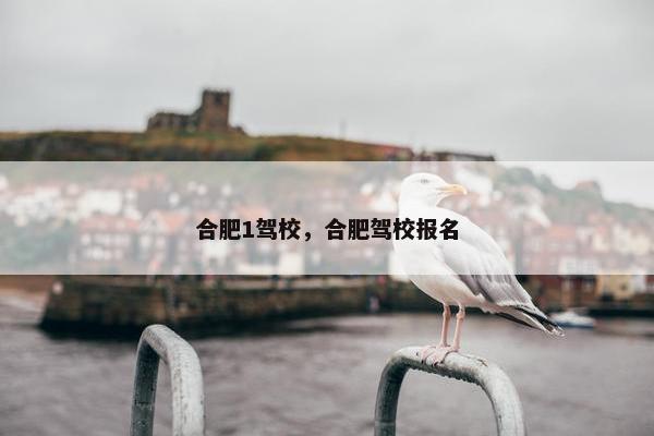 合肥1驾校，合肥驾校报名
