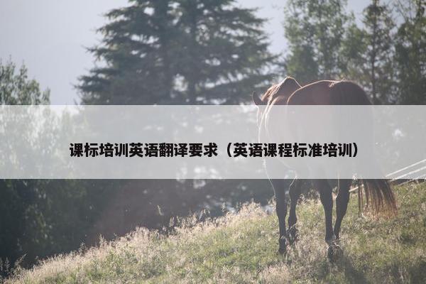 课标培训英语翻译要求（英语课程标准培训）
