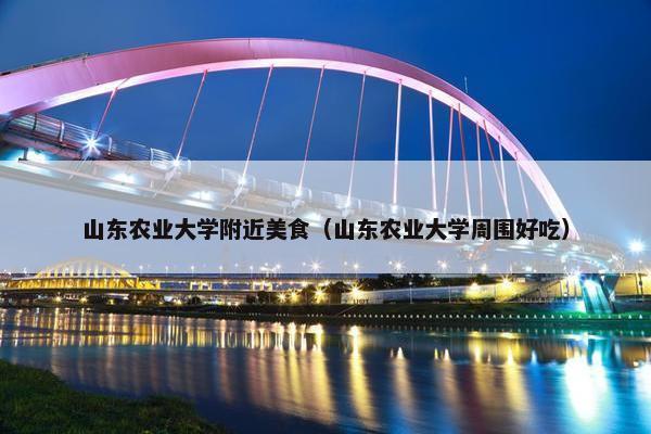 山东农业大学附近美食（山东农业大学周围好吃）