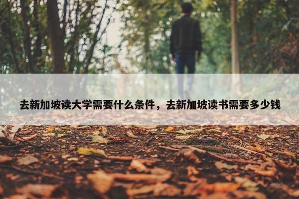 去新加坡读大学需要什么条件，去新加坡读书需要多少钱