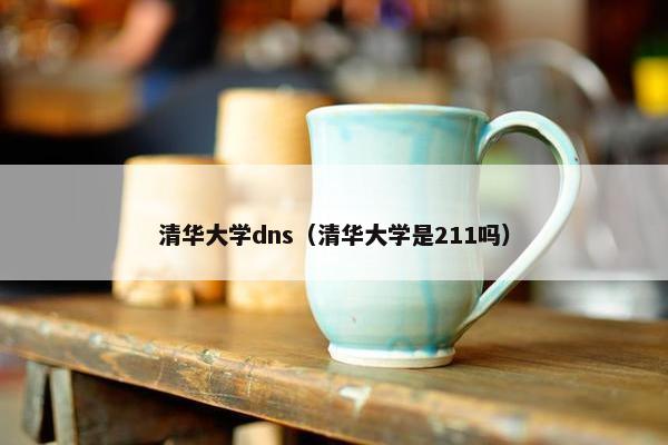 清华大学dns（清华大学是211吗）
