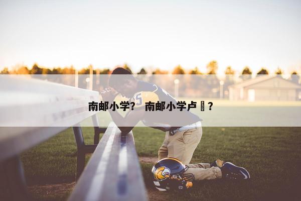 南邮小学？ 南邮小学卢珺？