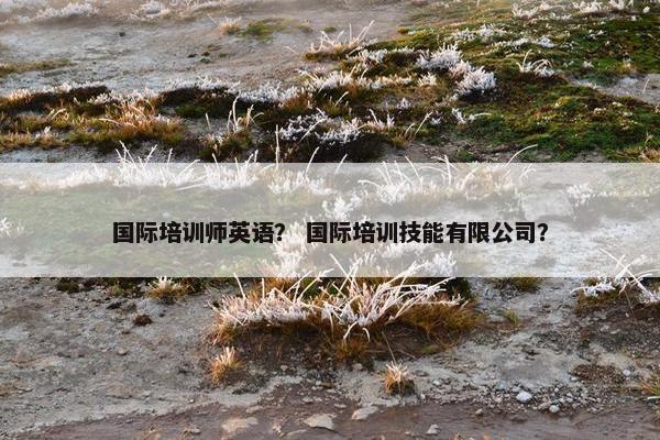 国际培训师英语？ 国际培训技能有限公司？
