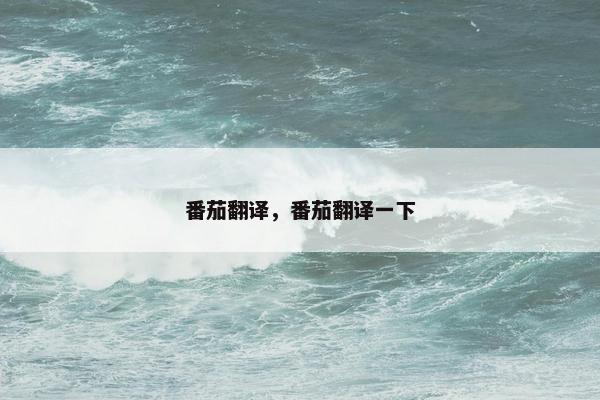 番茄翻译，番茄翻译一下