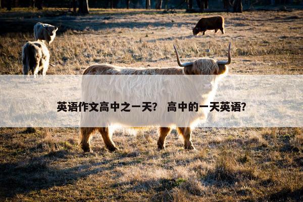英语作文高中之一天？ 高中的一天英语？