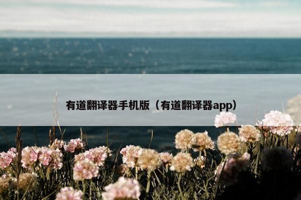 有道翻译器手机版（有道翻译器app）