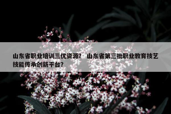 山东省职业培训三优资源？ 山东省第三批职业教育技艺技能传承创新平台？