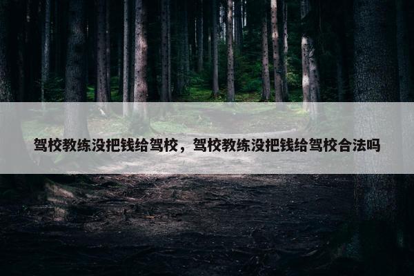 驾校教练没把钱给驾校，驾校教练没把钱给驾校合法吗