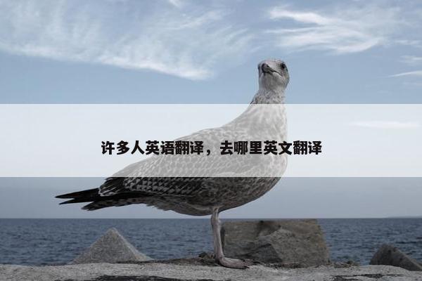 许多人英语翻译，去哪里英文翻译
