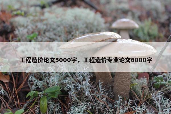 工程造价论文5000字，工程造价专业论文6000字