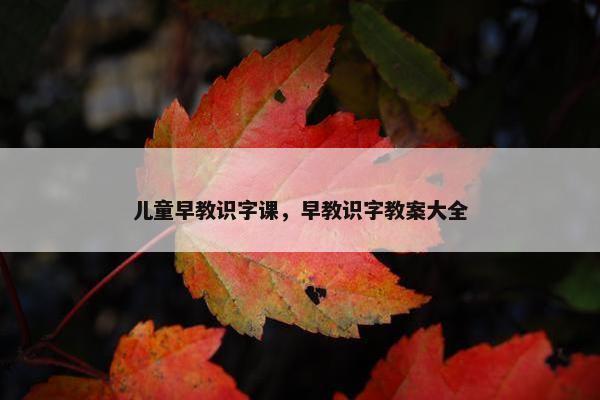 儿童早教识字课，早教识字教案大全