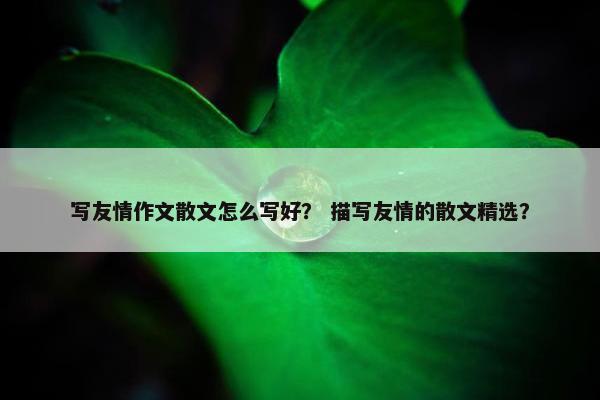 写友情作文散文怎么写好？ 描写友情的散文精选？
