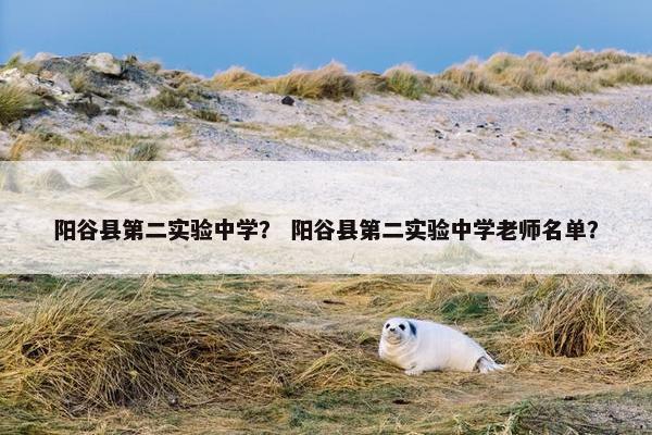 阳谷县第二实验中学？ 阳谷县第二实验中学老师名单？