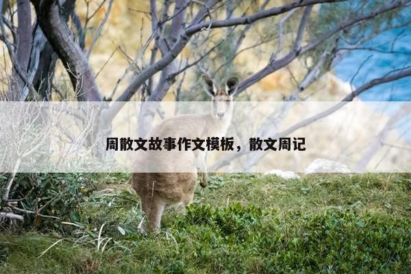 周散文故事作文模板，散文周记