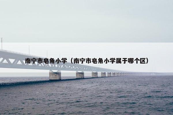 南宁市皂角小学（南宁市皂角小学属于哪个区）