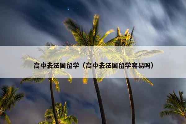 高中去法国留学（高中去法国留学容易吗）