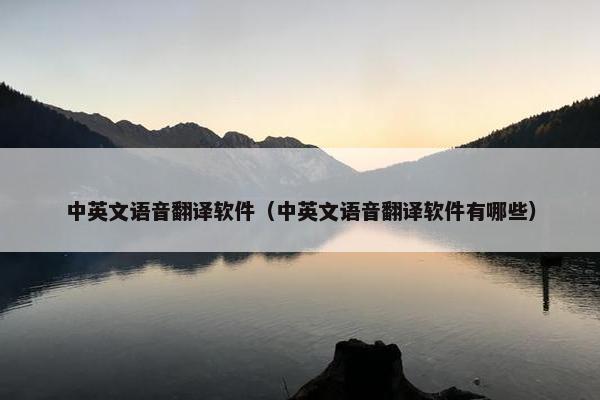 中英文语音翻译软件（中英文语音翻译软件有哪些）