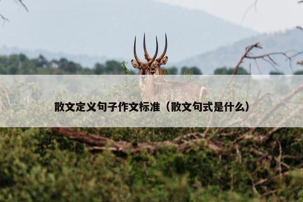 散文定义句子作文标准（散文句式是什么）