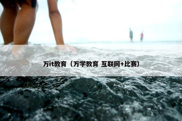 万it教育（万学教育 互联网+比赛）
