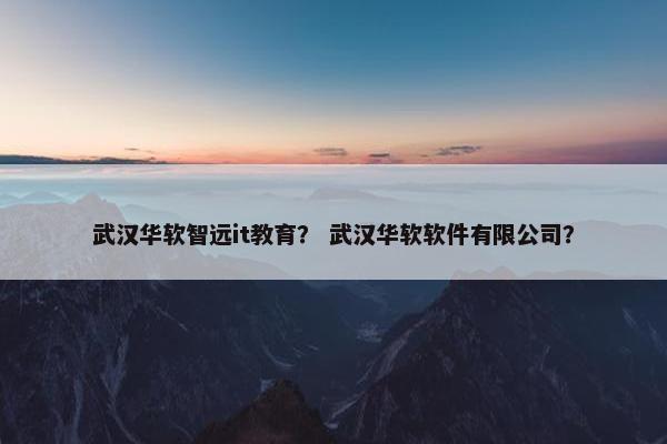武汉华软智远it教育？ 武汉华软软件有限公司？