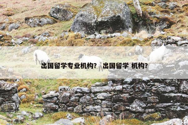 出国留学专业机构？ 出国留学 机构？