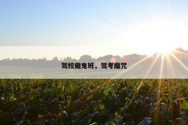 驾校魔鬼班，驾考魔咒