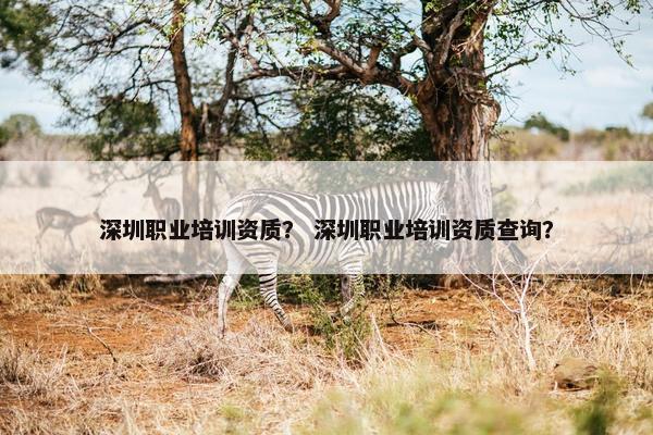 深圳职业培训资质？ 深圳职业培训资质查询？