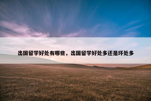 出国留学好处有哪些，出国留学好处多还是坏处多