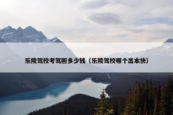 乐陵驾校考驾照多少钱（乐陵驾校哪个出本快）