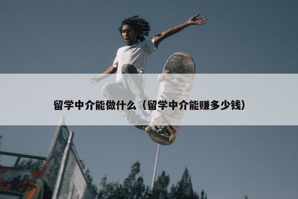 留学中介能做什么（留学中介能赚多少钱）