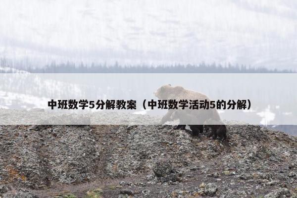中班数学5分解教案（中班数学活动5的分解）