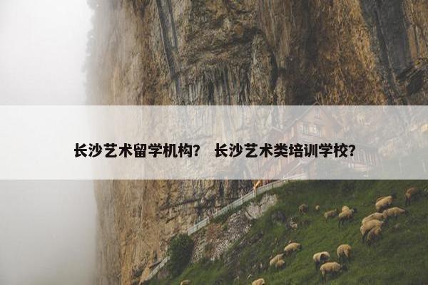 长沙艺术留学机构？ 长沙艺术类培训学校？