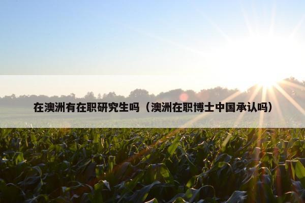 在澳洲有在职研究生吗（澳洲在职博士中国承认吗）