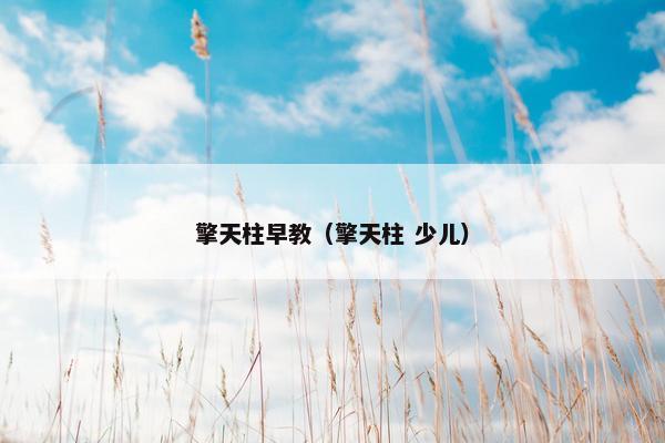 擎天柱早教（擎天柱 少儿）
