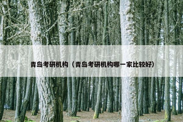 青岛考研机构（青岛考研机构哪一家比较好）