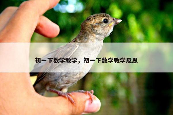 初一下数学教学，初一下数学教学反思