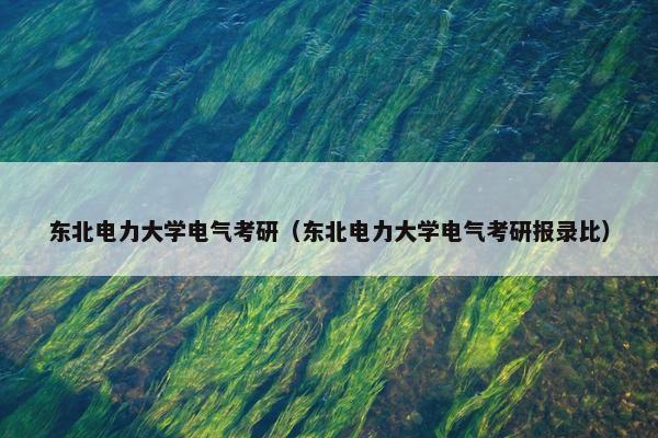 东北电力大学电气考研（东北电力大学电气考研报录比）