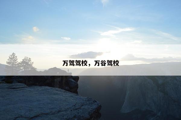 万驾驾校，万谷驾校