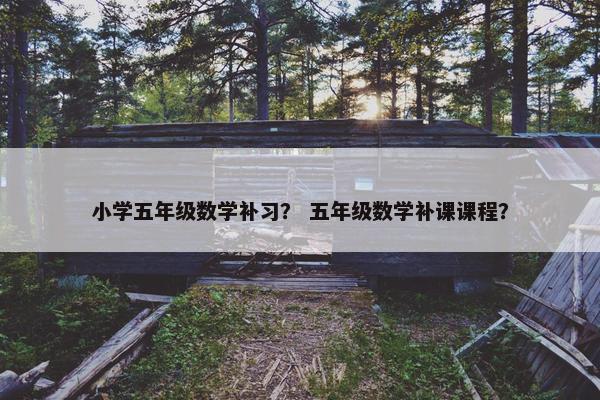 小学五年级数学补习？ 五年级数学补课课程？