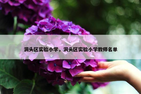 洞头区实验小学，洞头区实验小学教师名单