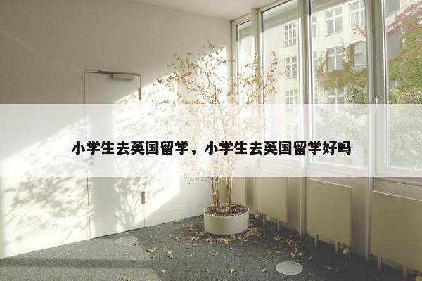 小学生去英国留学，小学生去英国留学好吗