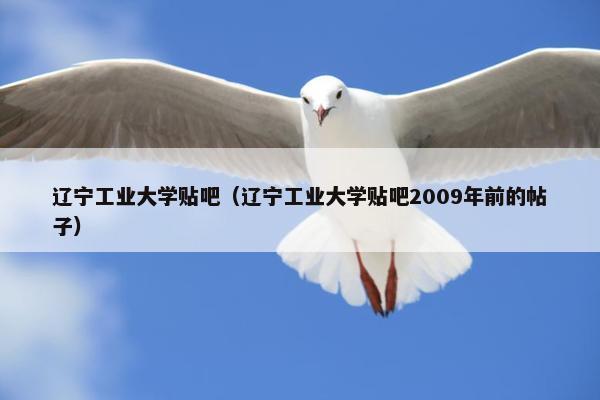 辽宁工业大学贴吧（辽宁工业大学贴吧2009年前的帖子）