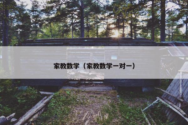 家教数学（家教数学一对一）