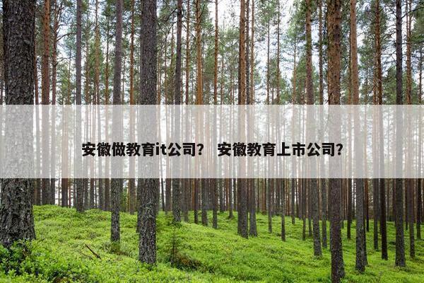 安徽做教育it公司？ 安徽教育上市公司？