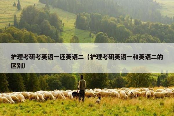 护理考研考英语一还英语二（护理考研英语一和英语二的区别）