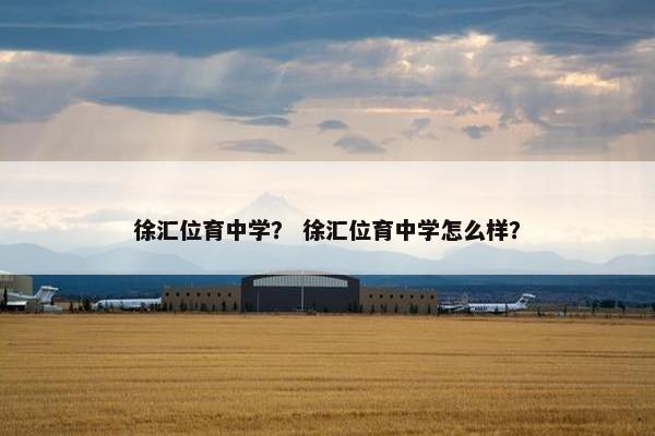 徐汇位育中学？ 徐汇位育中学怎么样？
