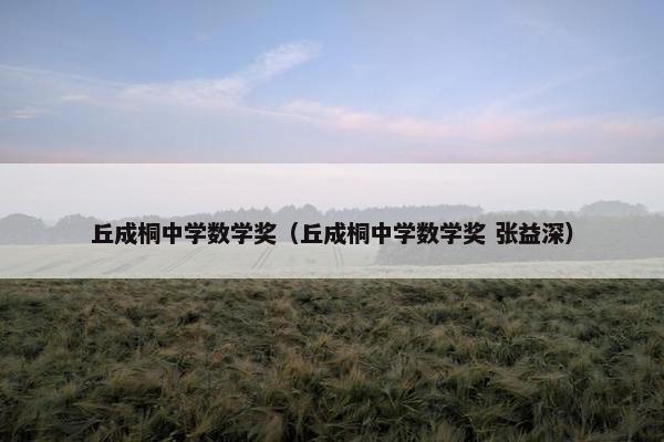 丘成桐中学数学奖（丘成桐中学数学奖 张益深）